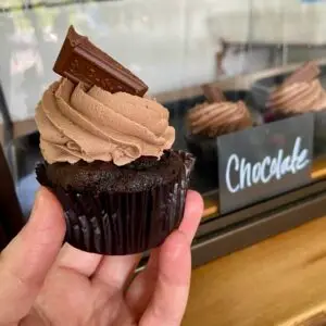 Chocolate cake with chocolate icing and hershey chocolate piece garnish