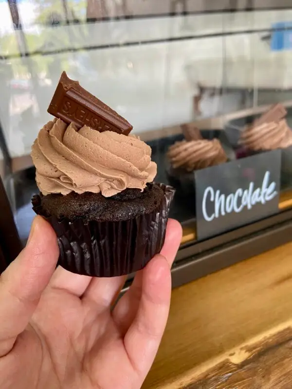 Chocolate cake with chocolate icing and hershey chocolate piece garnish