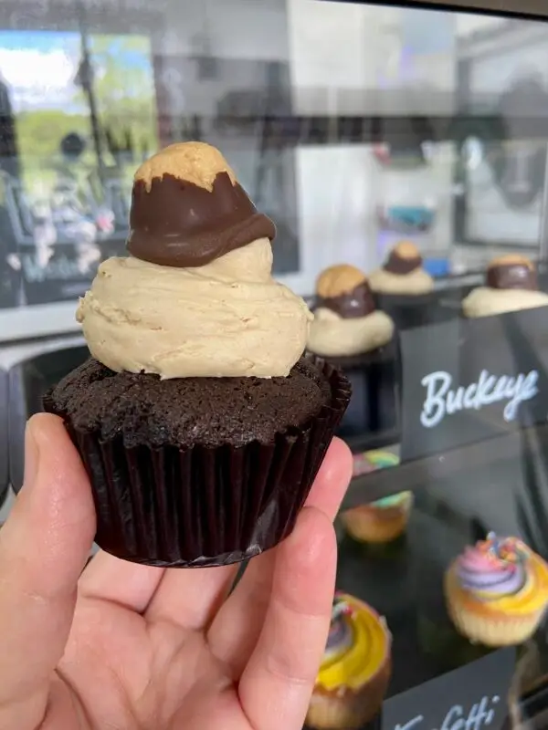 Chocolate Cupcake with peanut butter icing and buckeye candy garnish